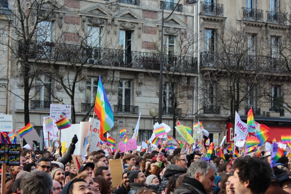 Manifestation du 27 janvier 2013